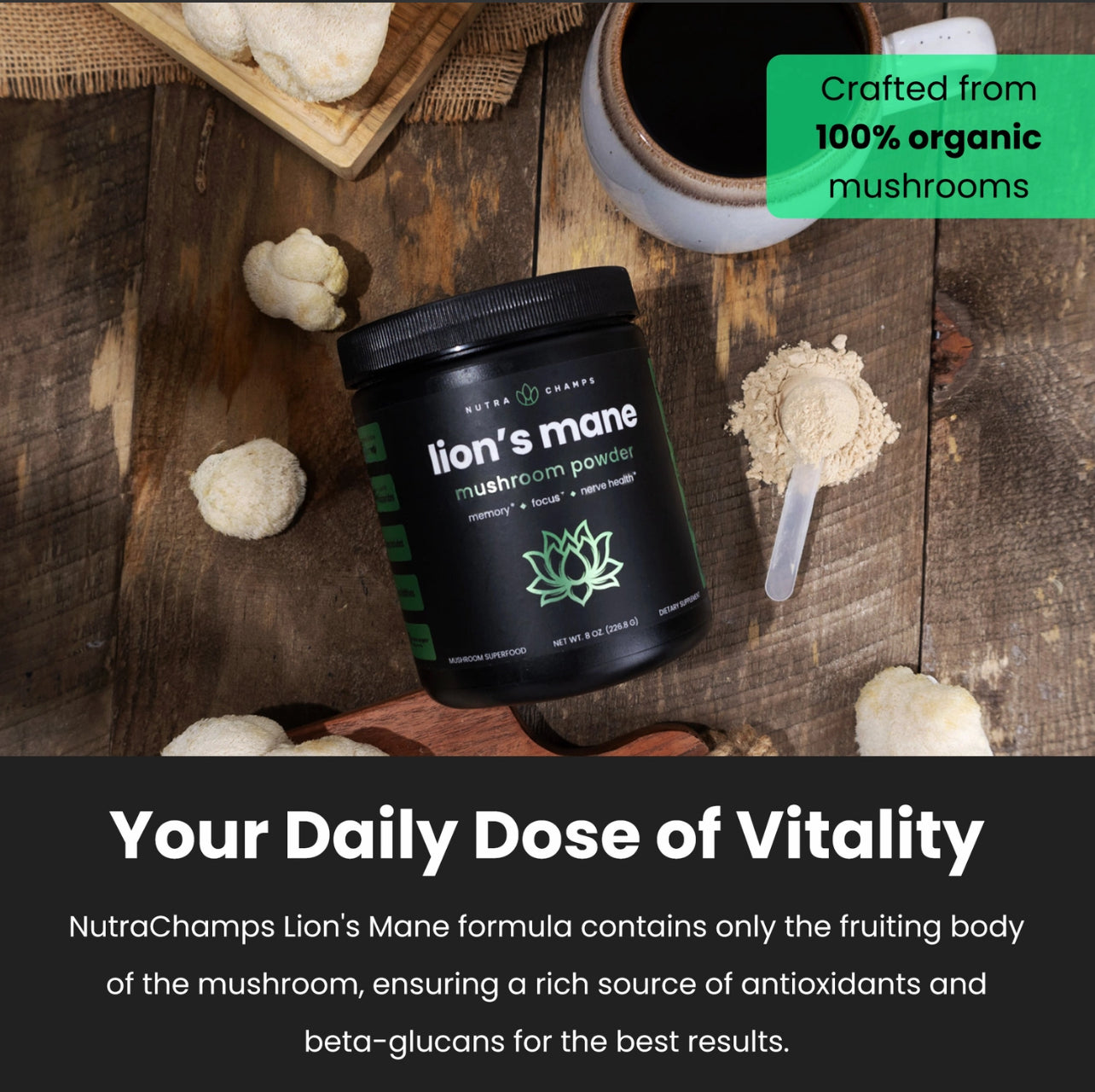Lion's Mane Mushroom Powder For Memory, Focus, Immune Support