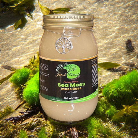 Sea Moss- Moss Boss | Original