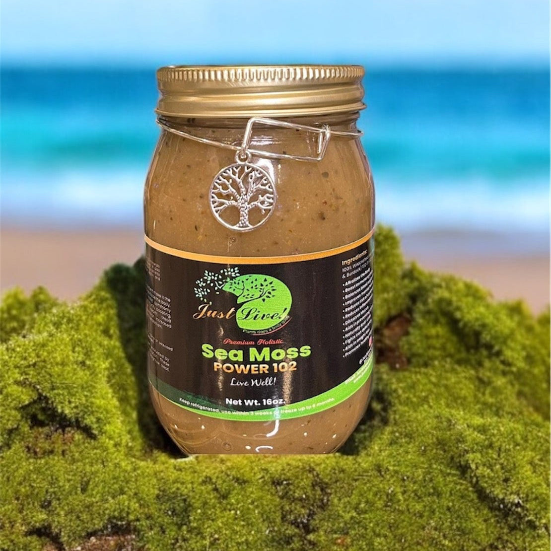 Sea Moss- Power 102 | Bladderwrack and Burdock Root